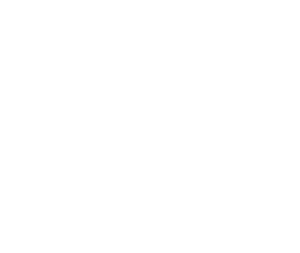 Beast Republic Logo White